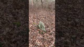 Brian Ghilliotti: Clinton, CT lithic site: Marker stone aligned with 240 degree azimuth stone