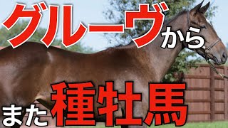 【華麗なる】エアグルーヴ牝系から新たな種牡馬が誕生！ジュンライトボルトにかかる期待。