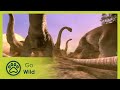 Animal Web - Animals Like Us 11/11 - Go Wild