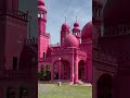 the pink mosque