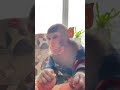 Тимоша смешно кушает орехи 🤣🥰 monkey bebymonke обезьяна shorts