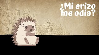 ¿Mi erizo me odia? | Erizoo México