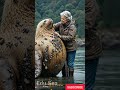 golden seal parasitized by million of barnacles it calls for help from the old lady