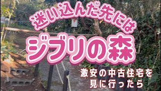 初心者不動産投資家が戸建て内覧行った先にはジ○リの森の中にポツンとある家だった