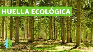 ¿Qué es la HUELLA ECOLÓGICA? 👣 CALCULAR huella ecológica