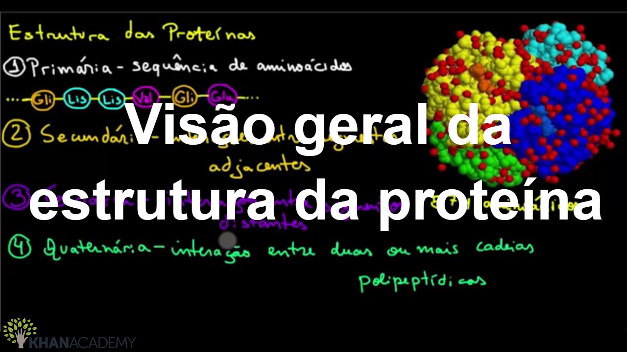 Estrutura Das Proteinas Primaria Secundaria Terciaria E Quaternaria ...