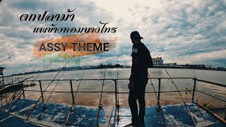 ตกปลาม้า แพข้าวหอมบางไทร อยุธยา :ASSY TEAM Fishing [EP.1]