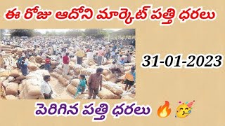 31-01-2023 today adoni cotton rates ఈ రోజు ఆదోని పత్తి ధరలు adoni cotton prices #pattidhara #adoni