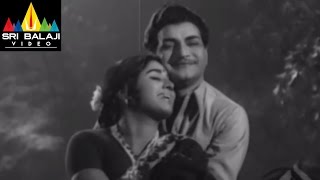Jeevitha Chakram Telugu Movie Part 7/15 | NTR, Vanisri, Sharada | Sri Balaji Video