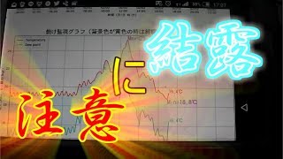 大袈裟な果焼け対策!?本日はお疲れさまでした!!／きゅうり農家／きゅうり栽培／愉快なshata農園