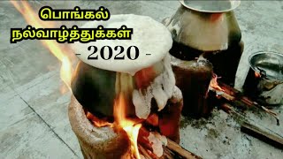 Happy PONGAL 2020 | #pongal