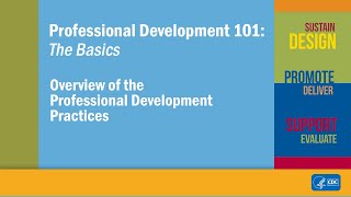 Overview of the Professional Development Practices