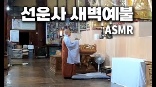 전북 고창 선운사 4시 20분 새벽예불 ASMR Buddhist Chanting Ceremony in Seonunsa Temple in Korea