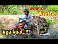 Langsir sawit Kalimantan || Panen hasil kebun sendiri