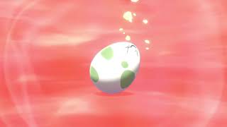 Hatching a shiny Dewpider in Pokémon Sword and Shield!!!