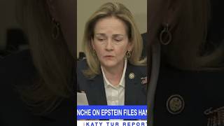 Bondi blames Blanche on EPSTEIN FILES handling, DEMS are fighting back #news #trump #newvideo #maga