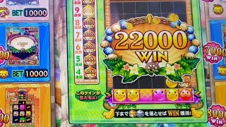 メダルゲーム【 カラコロッタ 4 】今日の出来事です！トータル負けちゃったけど楽しかった