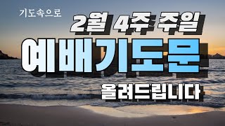 2월 넷째주일예배 대표기도문 ㅣ 2월 4째주일 예배기도문 ㅣ 2월 대표기도문