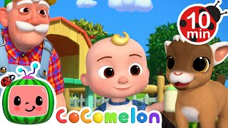 JJ Helps Baby Farm Animals Escape! | CoComelon Kids Songs & Nursery Rhymes