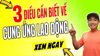 Cung ứng nhân lực là gì - 3 điều cần biết về cung ứng nhân lực | Anh Công Nhân