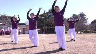 「 彩芽 」犬山踊芸祭 絆プロジェクト2025