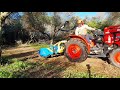 flail mowing olive prunings with a branson f47r Καταστροφέας zanon tfb σε κλαδιά ελιάς