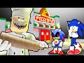 SONIC AND BABY SONIC.EXE VS ESCAPE PAPA PIZZA PIZZERIA IN ROBLOX