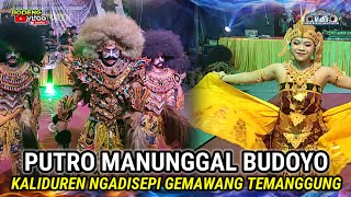 Jaran Kepang🔥🔥Putro Manunggal Budoyo Kaliduren Ngadisepi Gemawang Temanggung