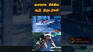 வசமாக சிக்கிய ஆடு திருடர்கள் | #thirunelveli | #cctv | #goat | #sheep | #shorts