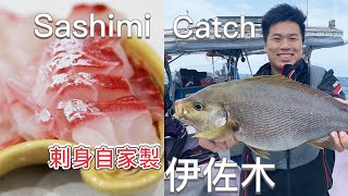 Catch and Sashimi |試做超大雞魚刺身 『刀與牆壁的交流』