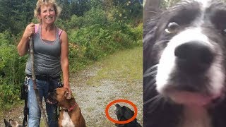 Au bout de 3 jours, cette femme est retrouvée dans la forêt. Ce que ses chi...