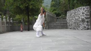 形意拳 Xingyiquan Chinese kung fu