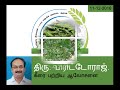 கீரை பற்றிய ஆலோசனை greens spinach advice