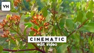 Cara Edit Video Cinematic Di Hp Android | VN Tutorial.