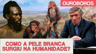 Como a pele branca surgiu na humanidade?