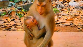 What happened, monkey baby? Jenifer, very angry with Mom, cries, No! Not like this!