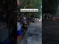 banyak bule hobby joging di pagi hari