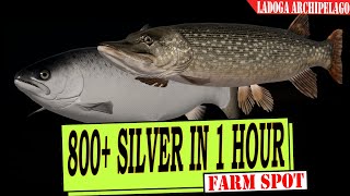 RF4 - Russian Fishing 4 - 800+ silver in 1 hour - Silver Farm - Ladoga Archipelago