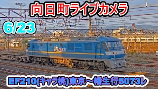 【向日町ライブカメラ】EF210(キャラ桃)東京～幡生行5073レ