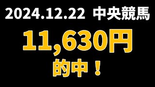 【11630円的中】中央競馬 2024年12月22日【AI予想払い戻し】