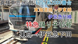 [真横車窓]E257系2000番台[特急踊り子15号]東京→伊豆急下田(東海道線・伊東線・伊豆急行線)