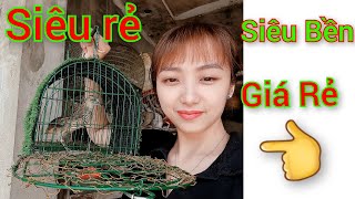 🔴 Bộ bẫy cút rừng cao cấp 6 món kèm chim cút mồi l Báo giá tại video l Giá rẻ