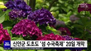 신안군 도초도 '섬 수국축제' 20일 개막[목포MBC 뉴스투데이]