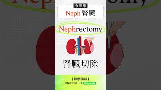 #醫學術語大聲說 今天學Neph腎臟