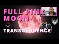 FULL PINK MOON April 16 2022 TRANSCENDENCE | Full Moon Libra