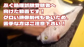 ふぐ処理試験を受ける方へ！各部位をなるべくゆっくり捌いて、わかりやすさ重視にした動画です！