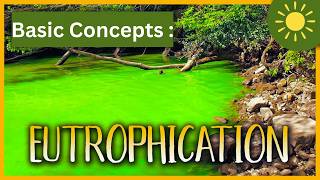 Eutrophication: What Causes Eutrophication? | Basic Concepts | Ecology Explainer