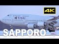 [4K] Early Morning in Winter - 17 Jets Plane Spotting at Sapporo New Chitose Airport 2020 / 新千歳空港