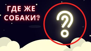 Две пропавшие якутские собаки.  Где они?