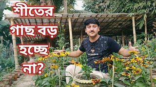 শীতের ফুল গাছের জন্য শেষ মুহুর্তে কিছু গুরুত্বপূর্ণ টিপস || কী করবেন না  My Garden Raju Paul